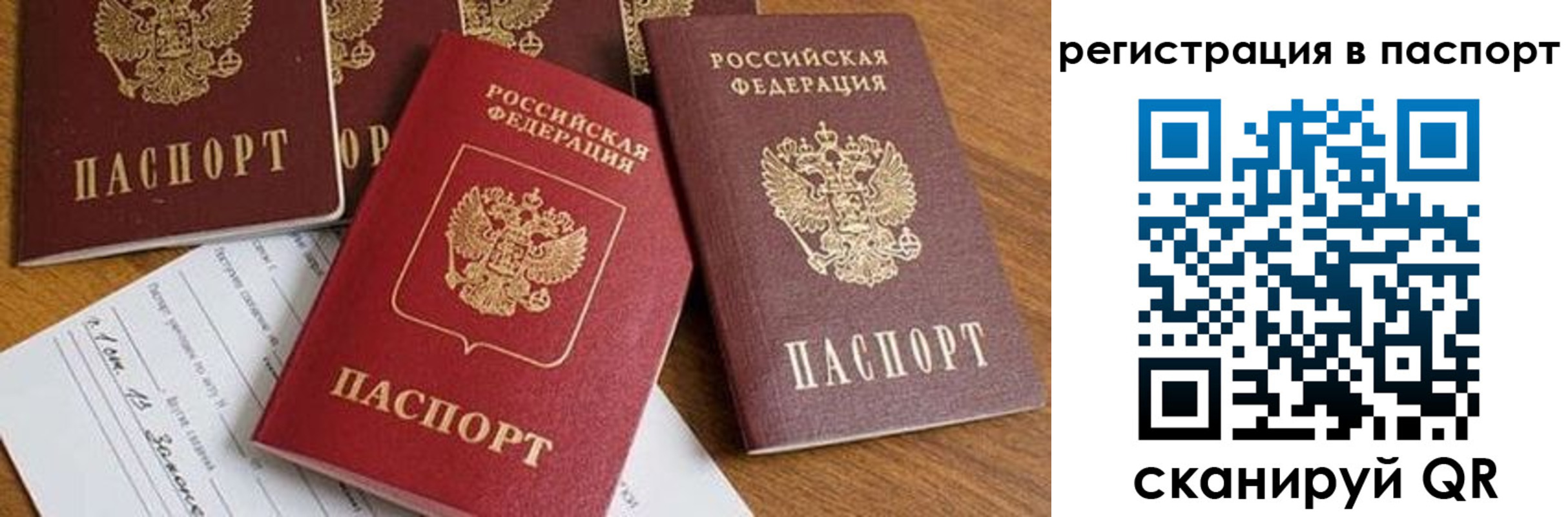 прописка в Сердобске